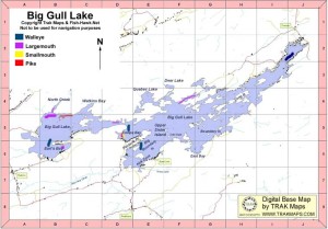 lr-biggullmap